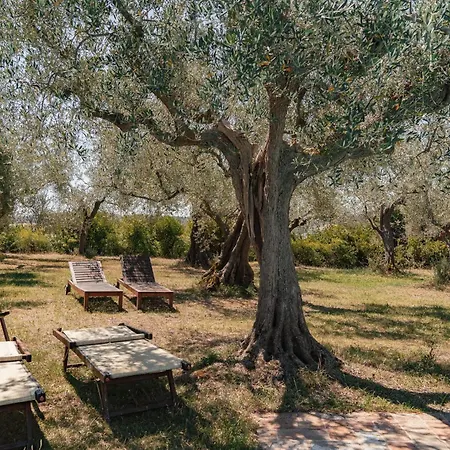 Salus Apartment Pesaro